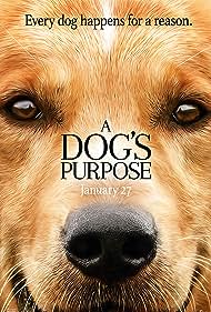 watch-A Dog's Purpose (2017)