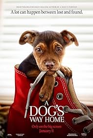 watch-A Dog's Way Home (2019)