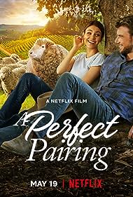 watch-A Perfect Pairing (2022)