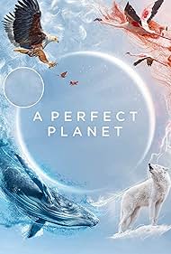 watch-A Perfect Planet (2021)