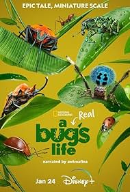 watch-A Real Bug's Life (2024)