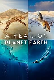 watch-A Year on Planet Earth (2022)