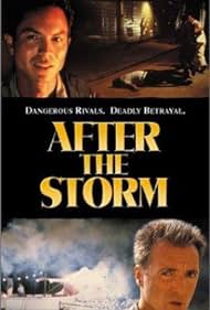 After the Storm (2001) watch-After the Storm (2001)
