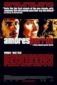 Amores Perros (2001) watch-Amores Perros (2001)
