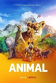 watch-Animal (2021)
