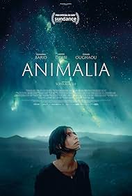 Animalia (2023) watch-Animalia (2023)