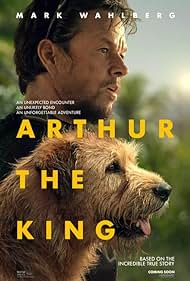 Arthur the King (2024) watch-Arthur the King (2024)