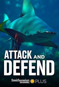 watch-Attack and Defend (2015)