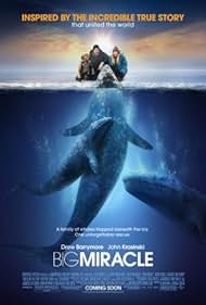 watch-Big Miracle (2012)