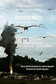 Birdemic: Shock and Terror (2010) watch-Birdemic: Shock and Terror (2010)