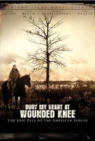 watch-Bury My Heart at Wounded Knee (2007)