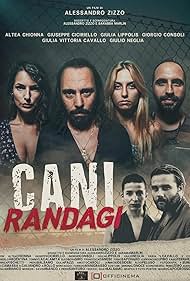 Cani randagi (2024) watch-Cani randagi (2024)