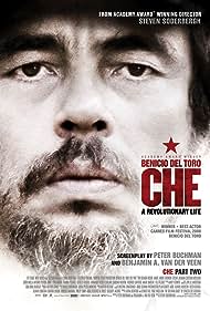 Che: Part Two (2009) watch-Che: Part Two (2009)