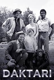 Daktari (1966) watch-Daktari (1966)