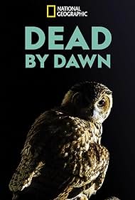 watch-Dead by Dawn (2019)