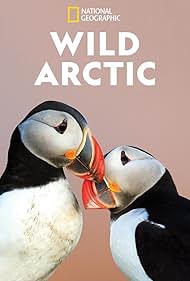 watch-Destination Wild: Wild Arctic (2019)