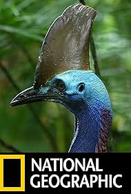 Dino Bird (2017) watch-Dino Bird (2017)