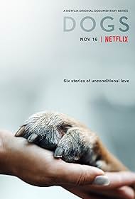 Dogs (2018) watch-Dogs (2018)