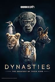 watch-Dynasties (2018)