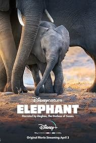 watch-Elephant (2020)