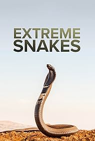 watch-Extreme Snakes (2023)