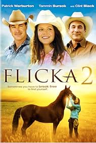 watch-Flicka 2 (2010)