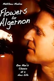Flowers for Algernon (2000) watch-Flowers for Algernon (2000)