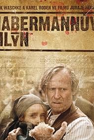 Habermann (2011) watch-Habermann (2011)