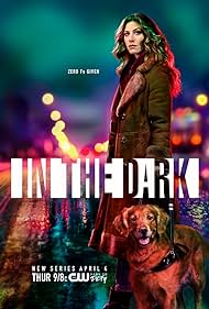 watch-In the Dark (2019) 2019