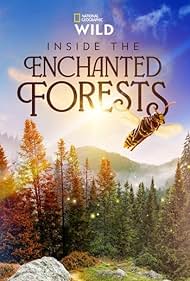 watch-Inside the Enchanted Forests (2024)