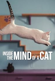 watch-Inside the Mind of a Cat (2022)