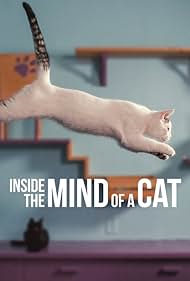 Inside the Mind of a Cat (2022) watch-Inside the Mind of a Cat (2022)