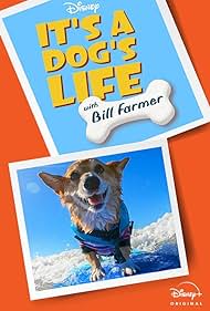 watch-It's A Dog's Life (2020)