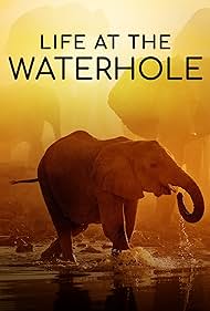watch-Life at the Waterhole (2021)