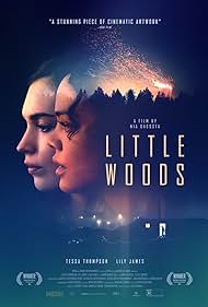 watch-Little Woods (2019)