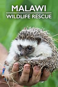 Malawi Wildlife Rescue (2019) watch-Malawi Wildlife Rescue (2019)