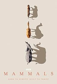 watch-Mammals (2024)