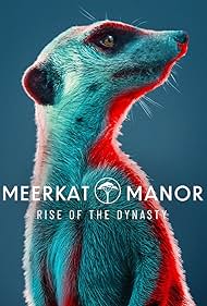 Meerkat Manor: Rise of the Dynasty (2021) watch-Meerkat Manor: Rise of the Dynasty (2021)