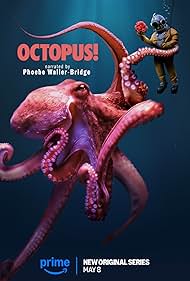 watch-Octopus! (2025)