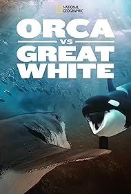 watch-Orca vs. Great White (2021)