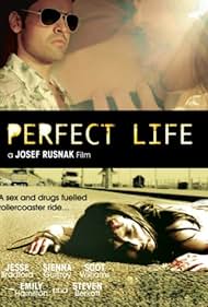 Perfect Life (2010) watch-Perfect Life (2010)