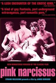 Pink Narcissus (1974) watch-Pink Narcissus (1974)