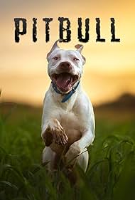 Pitbull (2018) watch-Pitbull (2018)
