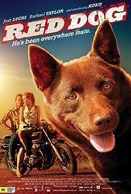 Red Dog (2012) watch-Red Dog (2012)
