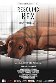 Rescuing Rex (2020) watch-Rescuing Rex (2020)