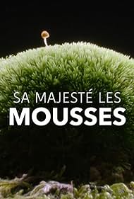 Sa Majesté les mousses (2023) watch-Sa Majesté les mousses (2023)