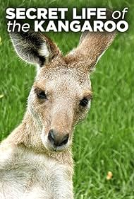 watch-Secret Life of the Kangaroo (2016)
