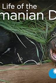 watch-Secret Life of the Tasmanian Devil (2016)