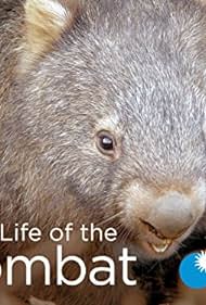 watch-Secret Life of the Wombat (2016)
