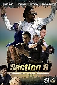 watch-Section 8 (2022)